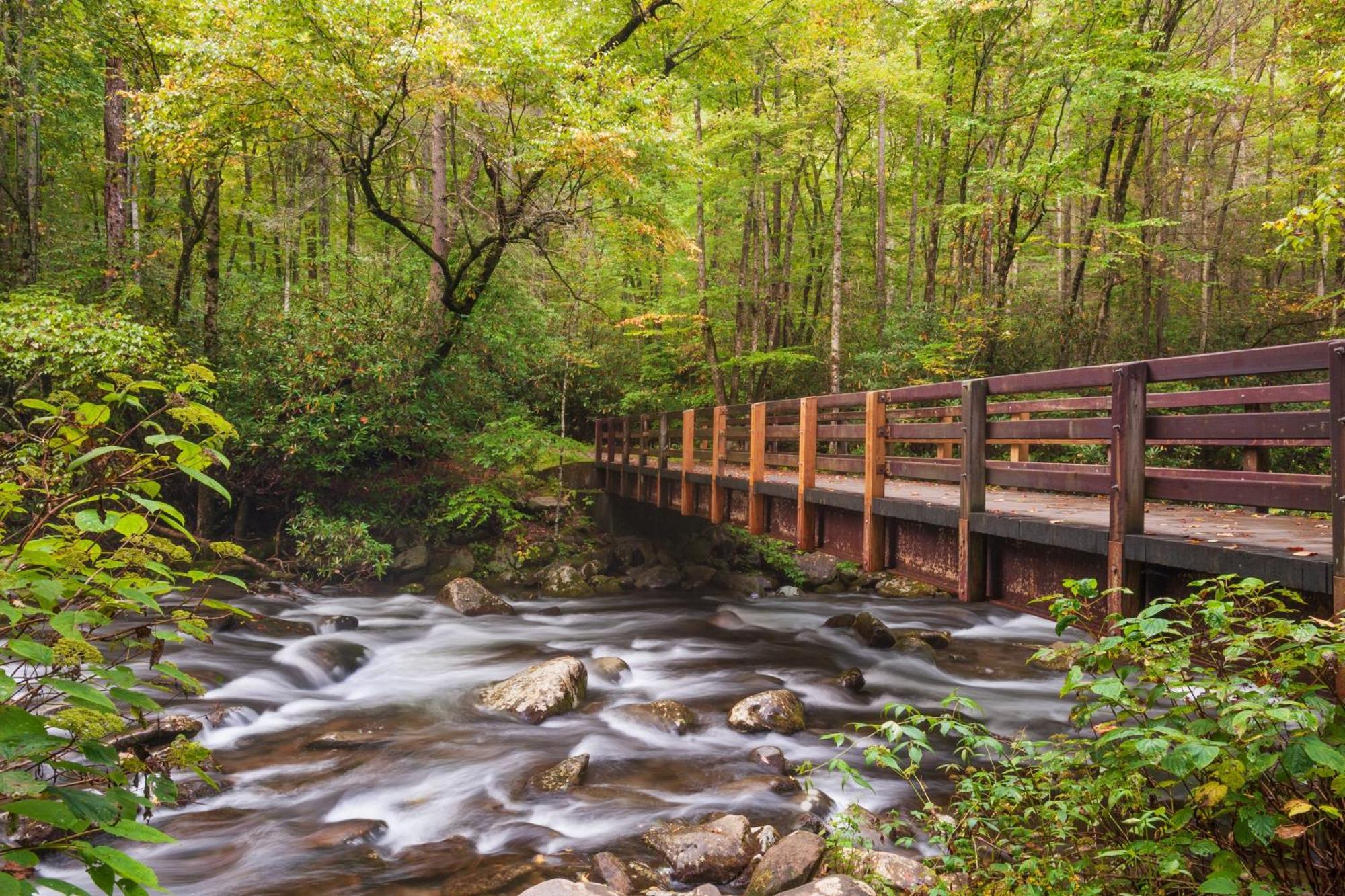 Bear Den, Hot Tub, 1089 Of Free Attraction Tickets For Each Paid Day, Dollywood And More! Сев'єрвілл Екстер'єр фото