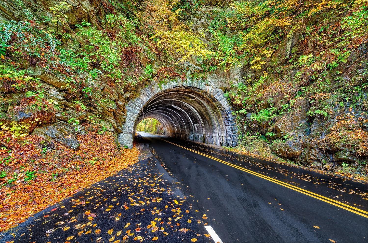 Bear Den, Hot Tub, 1089 Of Free Attraction Tickets For Each Paid Day, Dollywood And More! Сев'єрвілл Екстер'єр фото